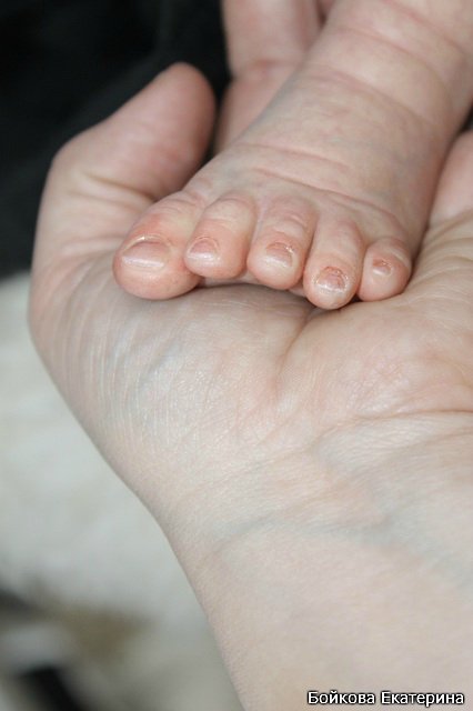 Кукла реборн Frida от Karola Wegerich в моём исполнении