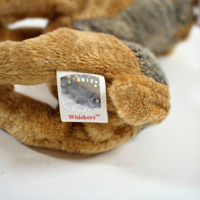 Пегий пёс, бегущий краем моря