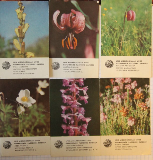 Моя коллекция календариков:) | Бэйбики Моя коллекция календариков:)