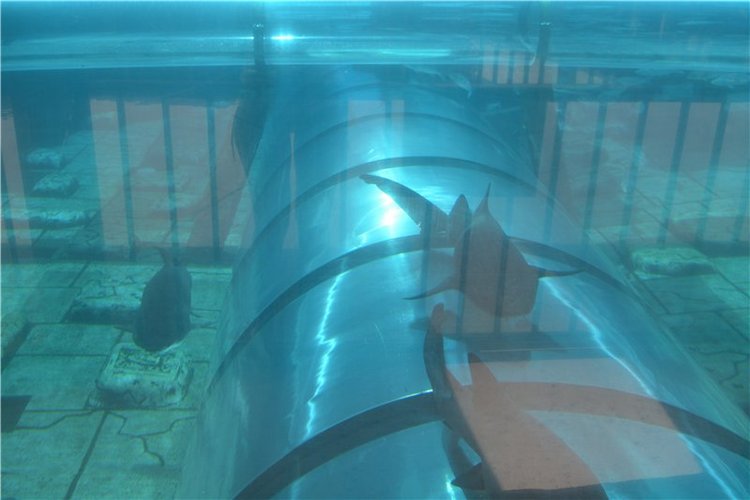 Испания. Тенерфе. Часть 3. Сиам парк