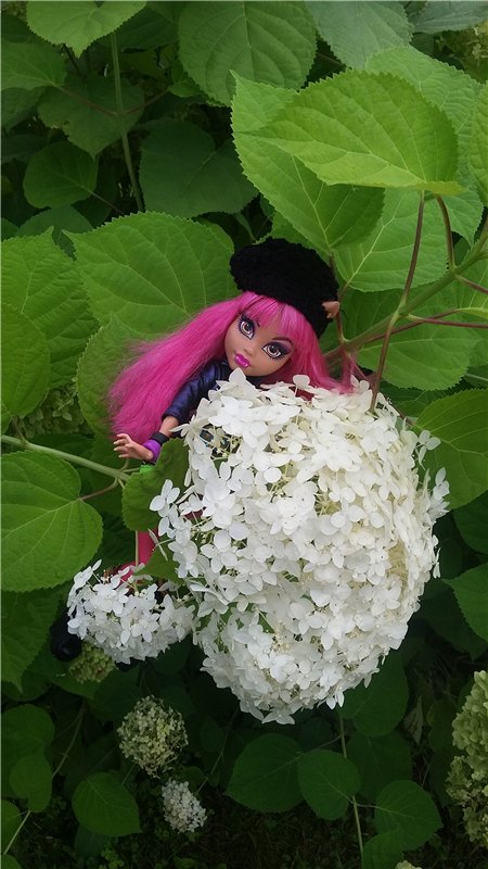 В гостях у бабушки ))) или яркое лето 2016 с девочками от Монстр Хай | Бэйбики В гостях у бабушки ))) или яркое лето 2016 с девочками от Монстр Хай (фото 6)