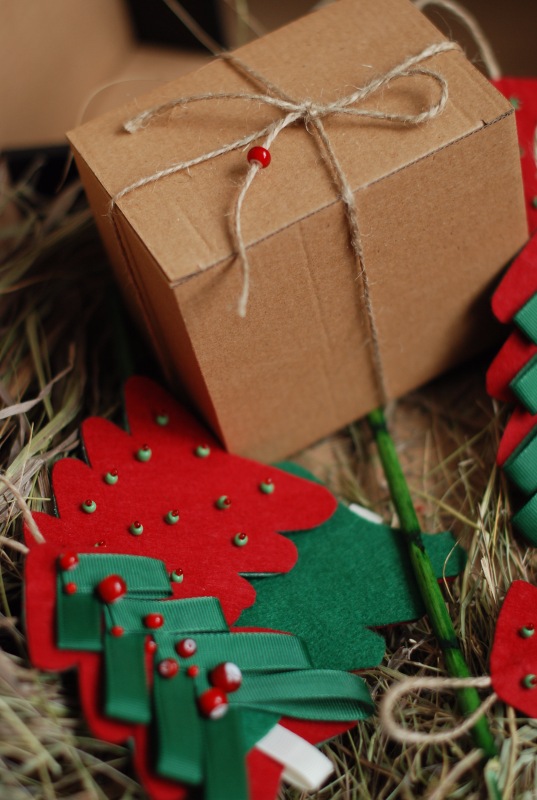 Ёлки-иголки — Другие хобби и увлечения: сад (фото 2)