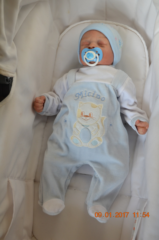 Моя коллекция анатомически корректных малышей (фото 2)