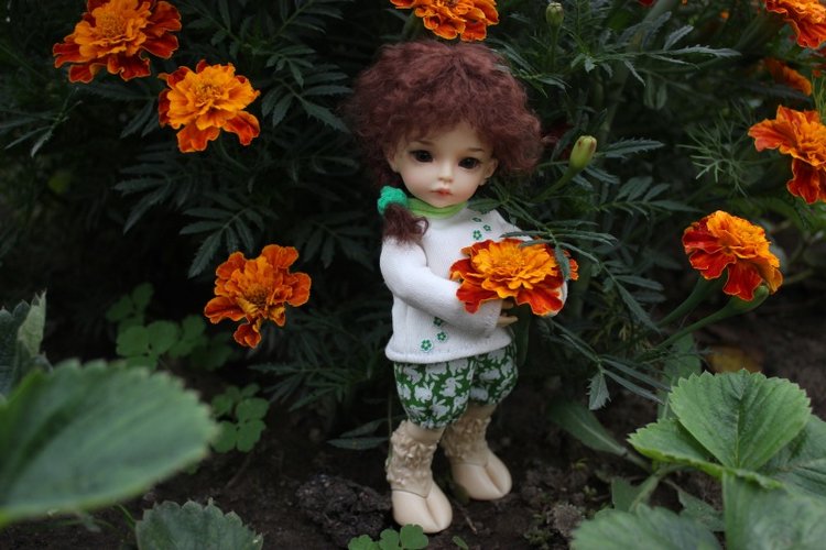 Моя самая необычная девочка