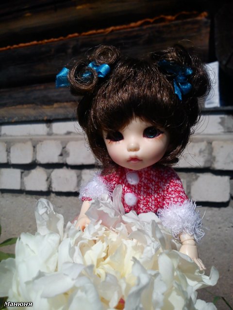 Манюнькино лето-1 PukiFee Ante (фото 6)