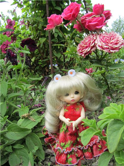 Дюймовочка. Мэгги в саду | Бэйбики Дюймовочка. Мэгги в саду — Куклы Fairyland (ФэйриЛэнд): BJD (БЖД) (фото 5)