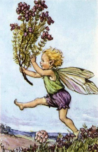 Долгая жизнь цветочных фей от иллюстраций Cicely Mary Barker до кукол Birgitte Frigast
