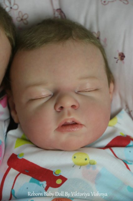 Близняшечки Ноа... Куколки реборн Виктории Вишни