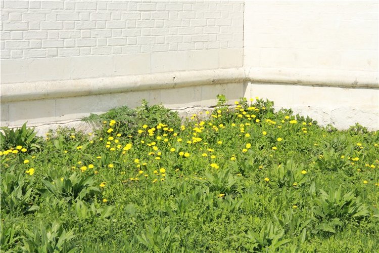 Путешествие в Старицу накануне Светлой Пасхи. Часть первая