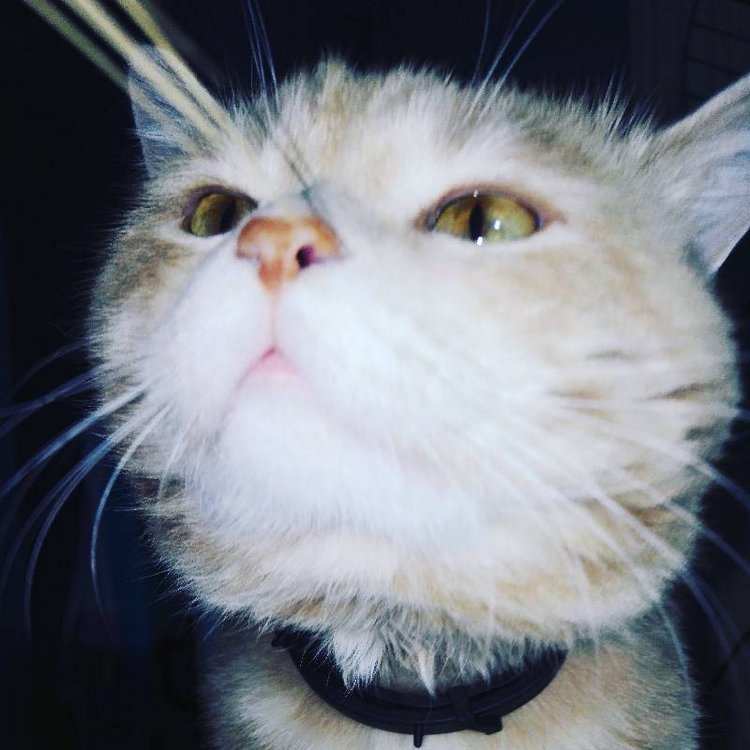 Те, кто нас любит и в домашнем халате, и без косметики, и растрепанными | Бэйбики Те, кто нас любит и в домашнем халате, и без косметики, и растрепанными