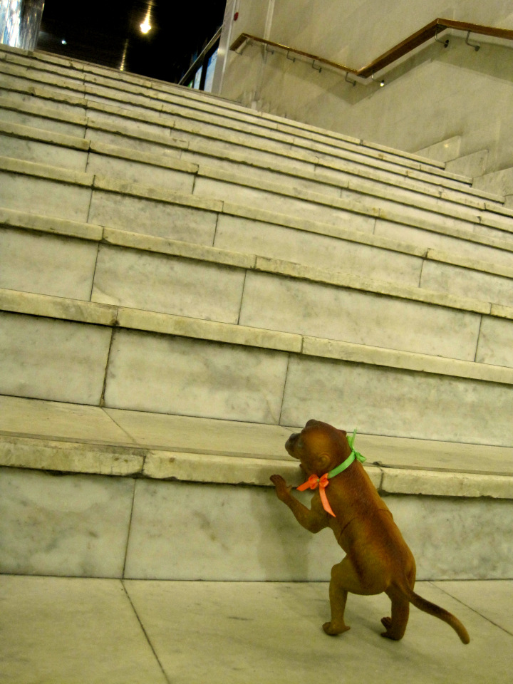 День в музее. Анжела в Государственном Дарвиновском музее (фото 6)