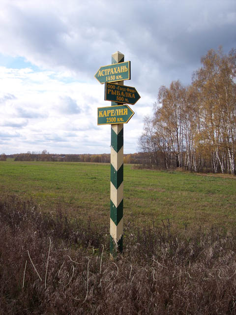 Осенняя поездка. Куклы Gotz и Berenguer (фото 3)