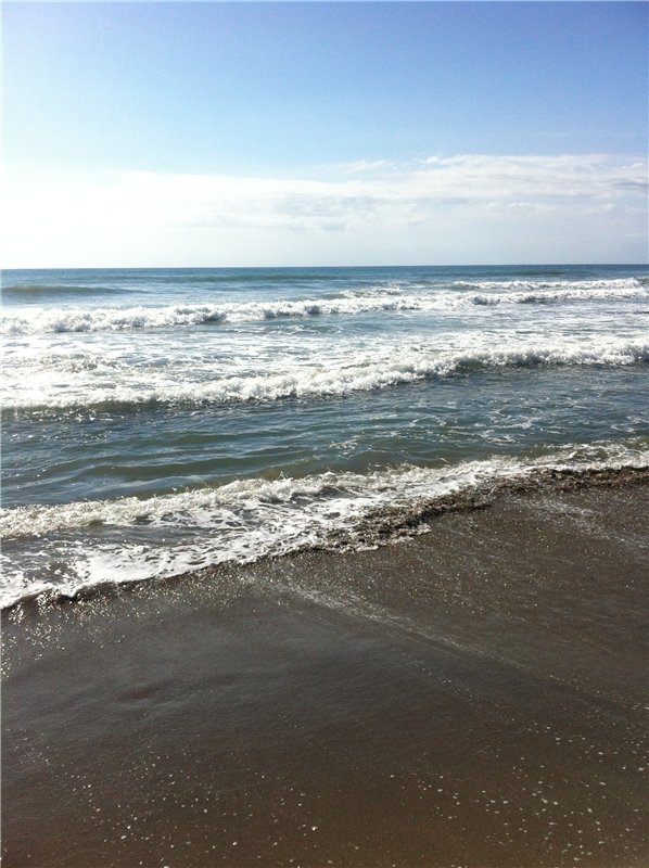 Большое путешествие маленькой девочки. Kaye Wiggs, Nutmeg