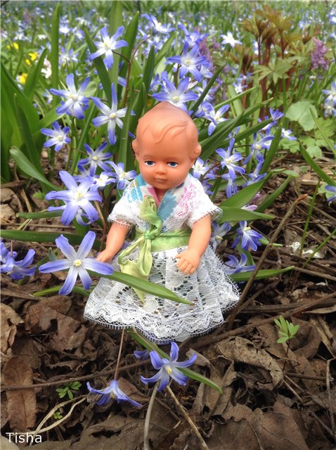 Маленькие садовники или весна в Аптекарском огороде