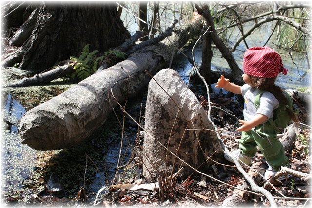 Небольшой поход Вихтелят на Ирдынские болота (фото 10)