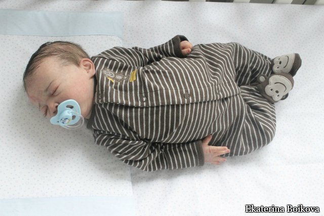 Спящее солнышко Mauris скульптор Evelina Wosnjuk. автор Бойкова