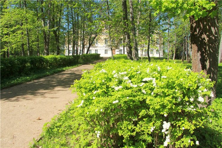 Субботний вояж. Третья часть | Бэйбики Субботний вояж. Третья часть (фото 7)