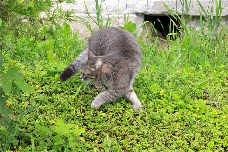 Кашин - город русского сердца. Часть седьмая. Вознесенский кафедральный собор