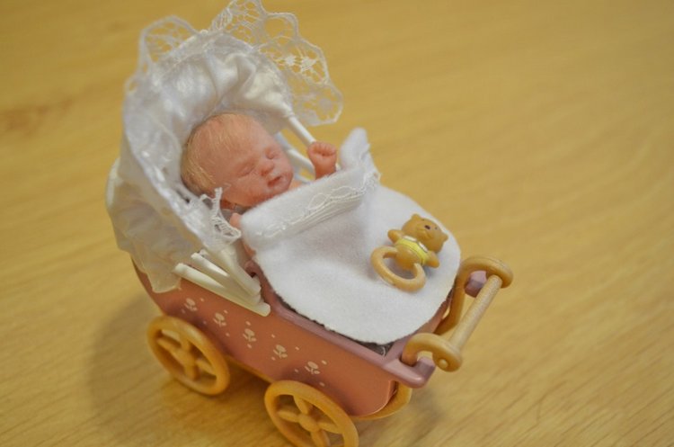 Любимка в румбоксе - как сбываются мечты (фото 6)