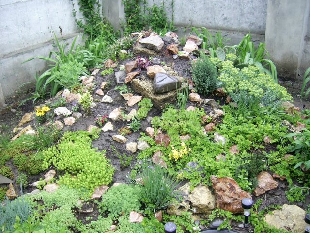 Прогулка между каплями дождя :) Коллекционная кукла Пиппина от Сюзан Липпл (фото 7)