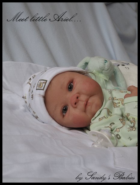 куклы Сэнди Файбер (Sandy Faber)