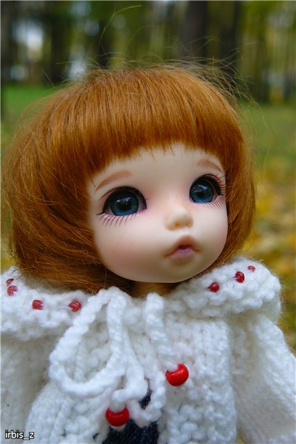 Вот так погуляли или Как у нас появилась кукла БЖД LittleFee Ante Elf