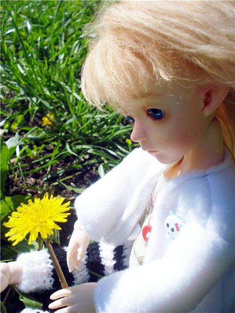 Триша и Лея. Майская прогулка (фото 2)