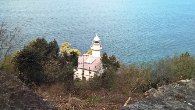 Пегий пёс, бегущий краем моря