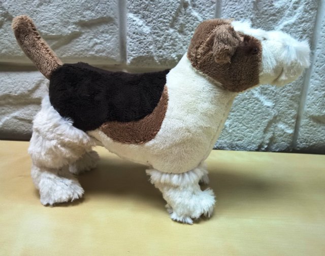 Пегий пёс, бегущий краем моря (фото 8)