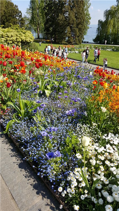 Остров Майнау. Германия — Туризм и путешествия: фотоотчеты из поездок