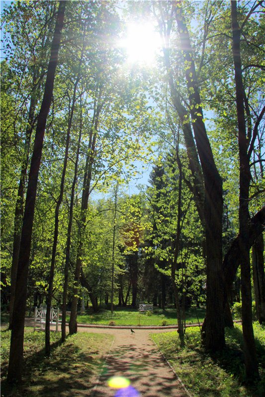 Субботний вояж. Часть вторая | Бэйбики Субботний вояж. Часть вторая