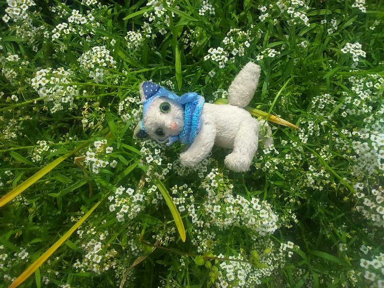 Воткинск — родина гения музыки Петра Ильича Чайковского. Часть 1