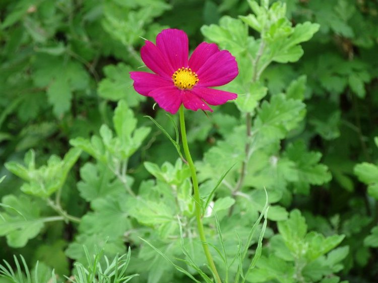 Комбинезон из куска льняной ткани для Хелены