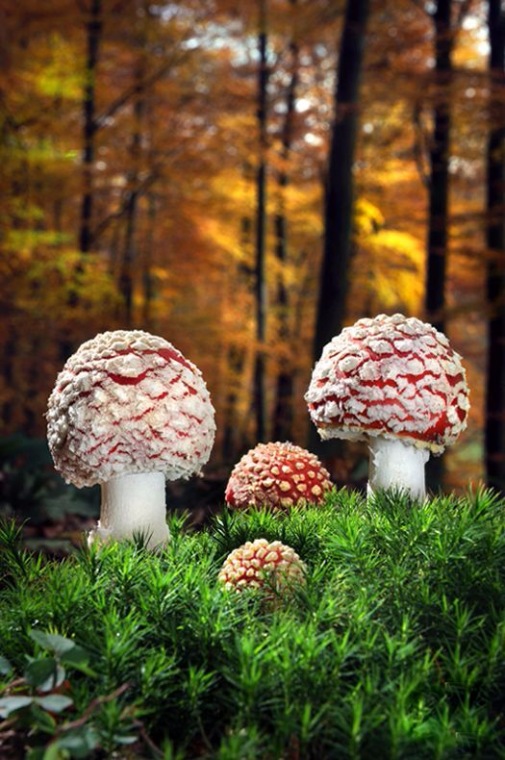 Осень. Сказка для взрослых