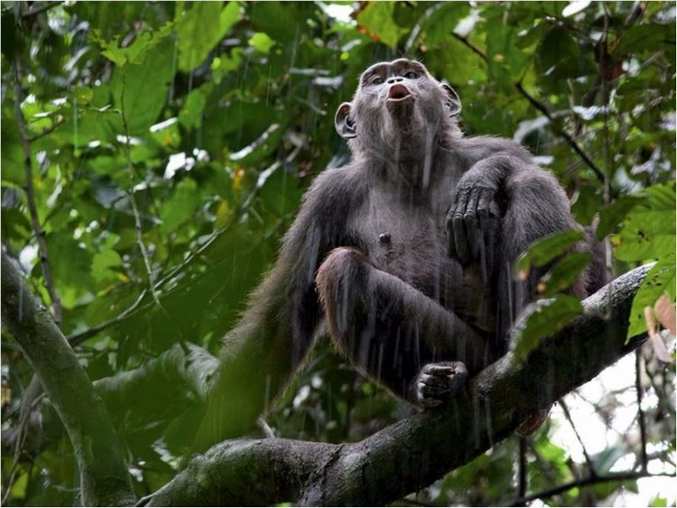 Лучшие фото National Geographic