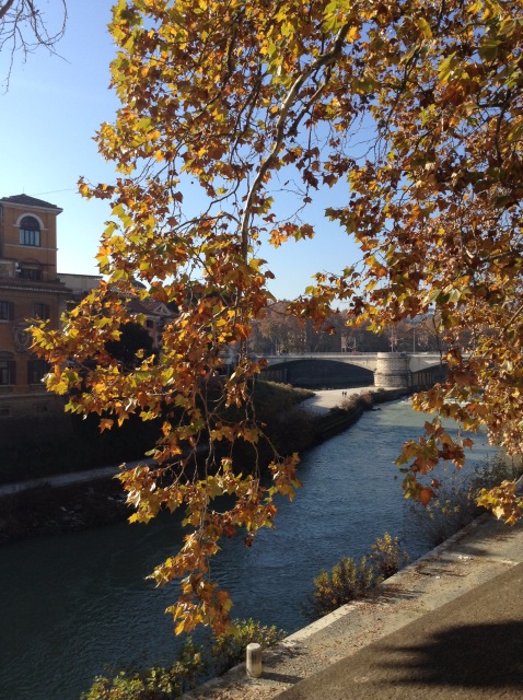 Приключения Минуш в Италии. Часть 7. Рим - Вечный вечноюный город