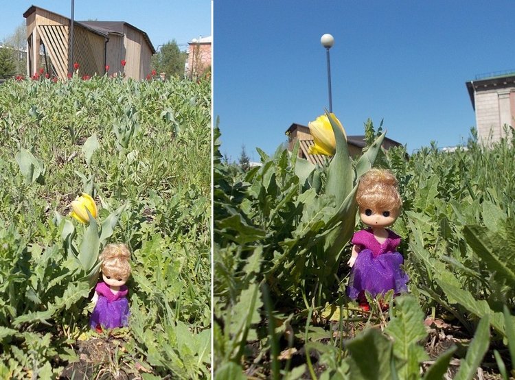 Майские денёчки — Болталка и разговоры обо всем: жизнь (фото 9)