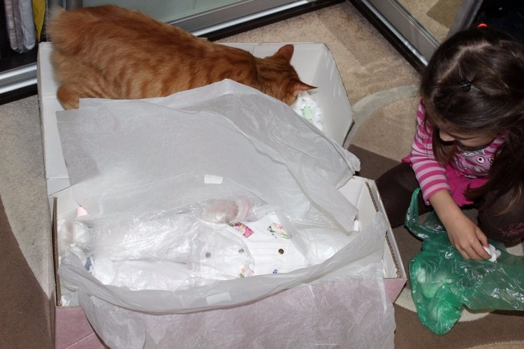 Мимолетная гостья,озорной рыжик Sweet & Sassy, Lee Middleton (фото 2)