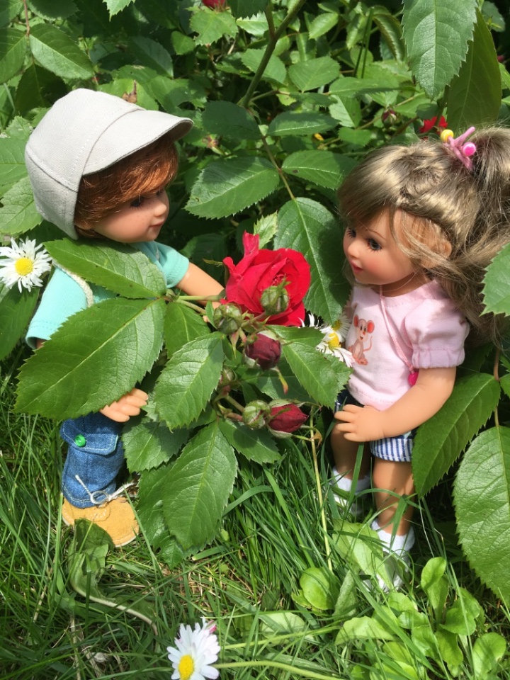 Мылыши от Gabriele Müller на даче (фото 8)