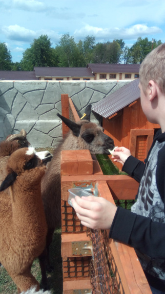 Тинка в экопарке — Куклы и тела Obitsu (Обитсу): 1/6 (фото 6)