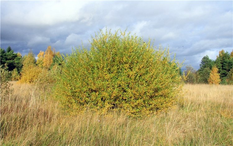 Тверской Водопад — Туризм и путешествия: фотоотчеты из поездок
