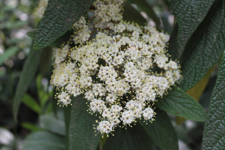 По Германии: зоопарк Лейпцига, часть 1