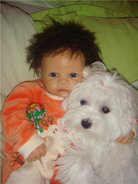 Балерина Хлоя или наше участие в конкурсе "Кукла и питомец" (фото 6)