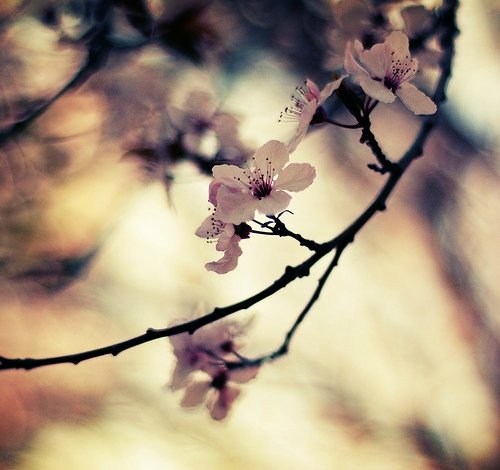 По ком звонит колокол — Культура (фото 3)