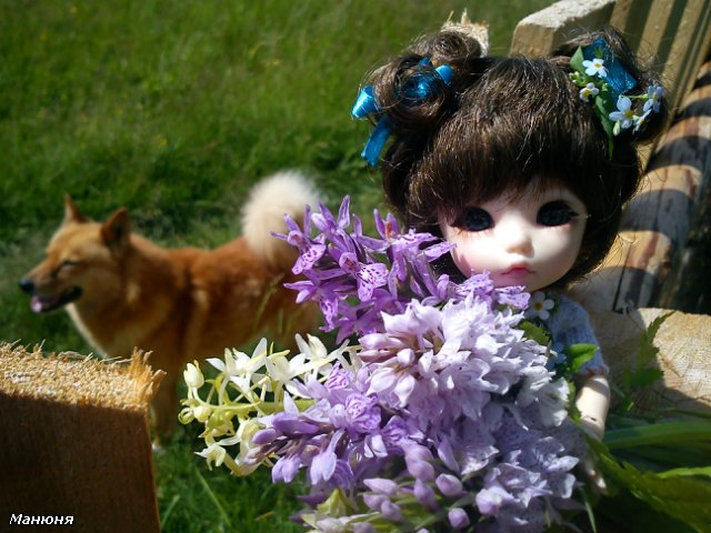 Манюнькино лето-2 (Полевые цветы) PukiFee Ante