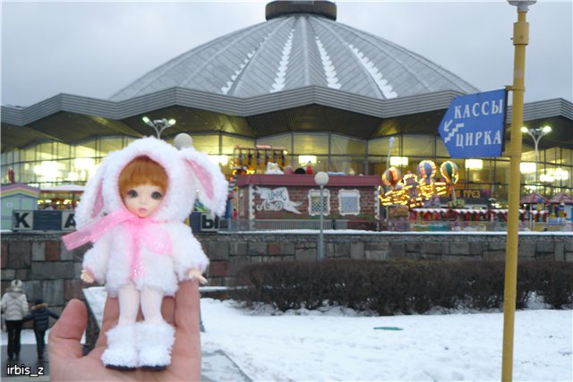 Вот так чудеса или как Ариэль в Большой Московский Цирк ходила. PukiFee Ante Ариэтти, PukiFee Bonnie Ариэль (фото 3)