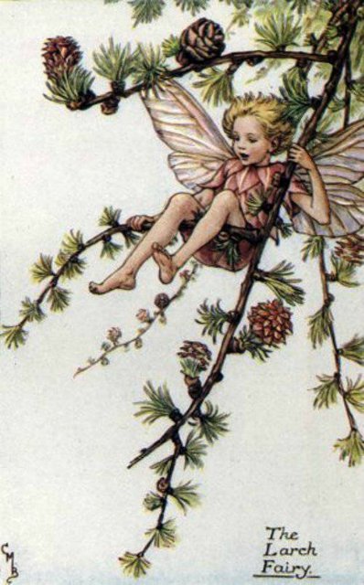 Долгая жизнь цветочных фей от иллюстраций Cicely Mary Barker до кукол Birgitte Frigast