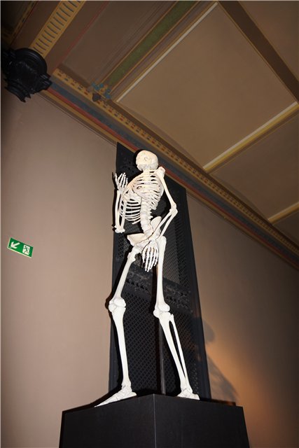 Взятие Берлина. Часть 3. Аква-дом, Улыбка бегемота и Прототип куколок Шильдкрот