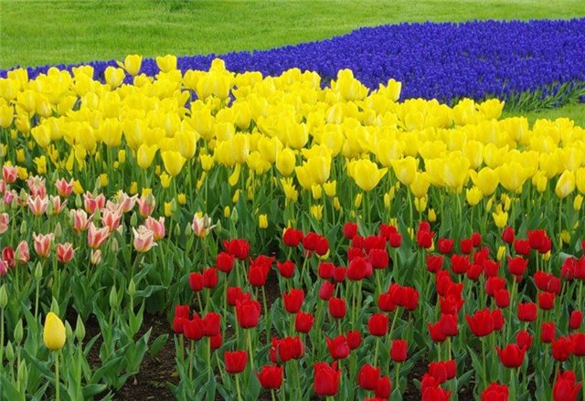 Ах как же хочется весны... Весна от Томаса Беккера (Thomas Baecker)