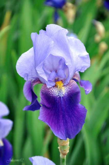 Моя вторая Olivia от Helen Kish | Бэйбики Моя вторая Olivia от Helen Kish